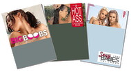 Pin-up Calendars Set of 3 2025