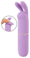 Mini Vibrator