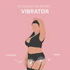 Vibrator „Night and Day“ im Glitzerlook