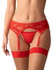 Suspender Belt Aliosa